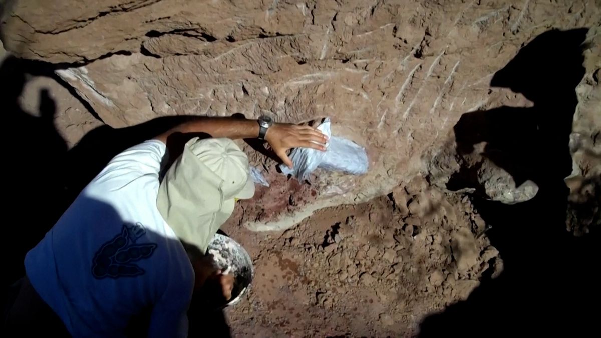V Patagonii našli zkamenělinu dinosaura s dlouhým krkem a kachním zobákem